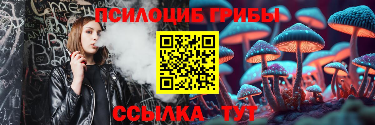 Галлюциногенные грибы Psilocybine cubensis Прохладный