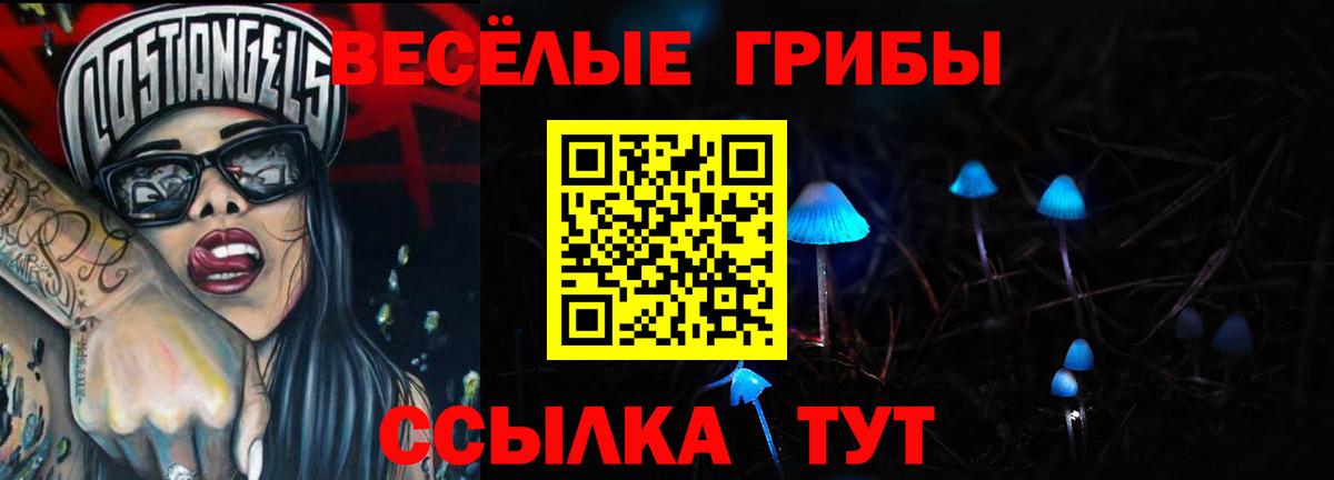Псилоцибиновые грибы MAGIC MUSHROOMS  Вход с VPN  Прохладный 
